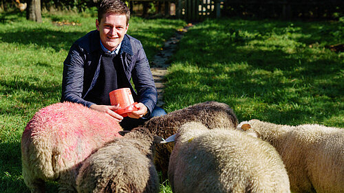David Chadwick MP with lambs